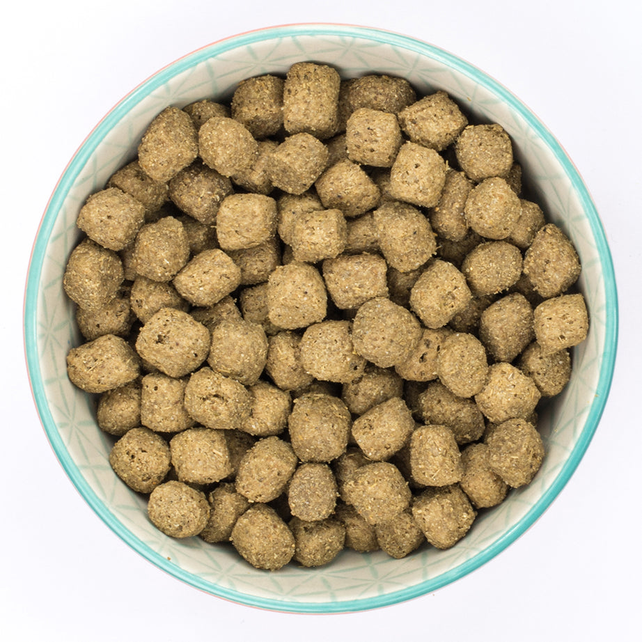 Burns Puppy Original Lamb & Rice Dry Complete kibble Burns