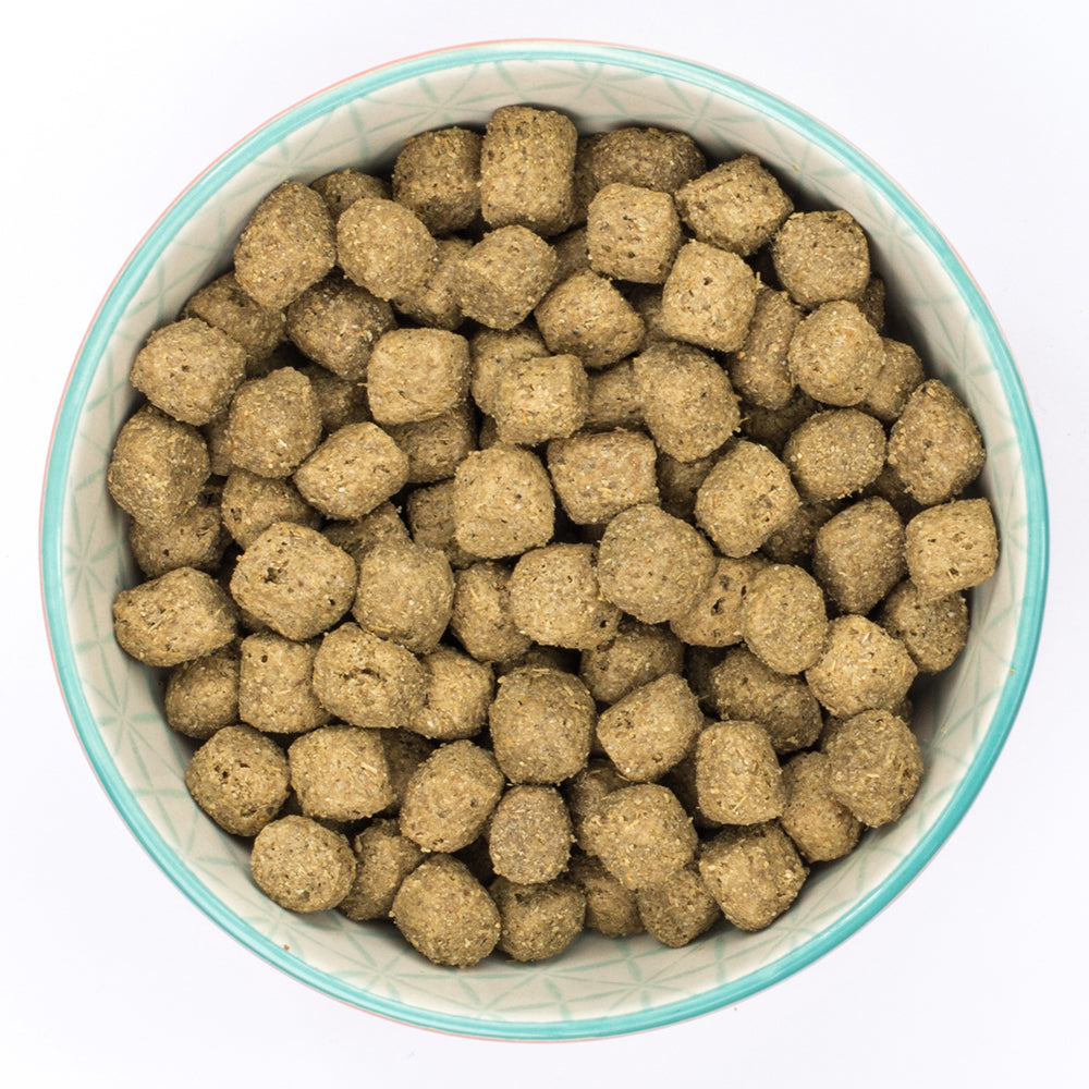 Burns Puppy Original Lamb & Rice Dry Complete kibble Burns