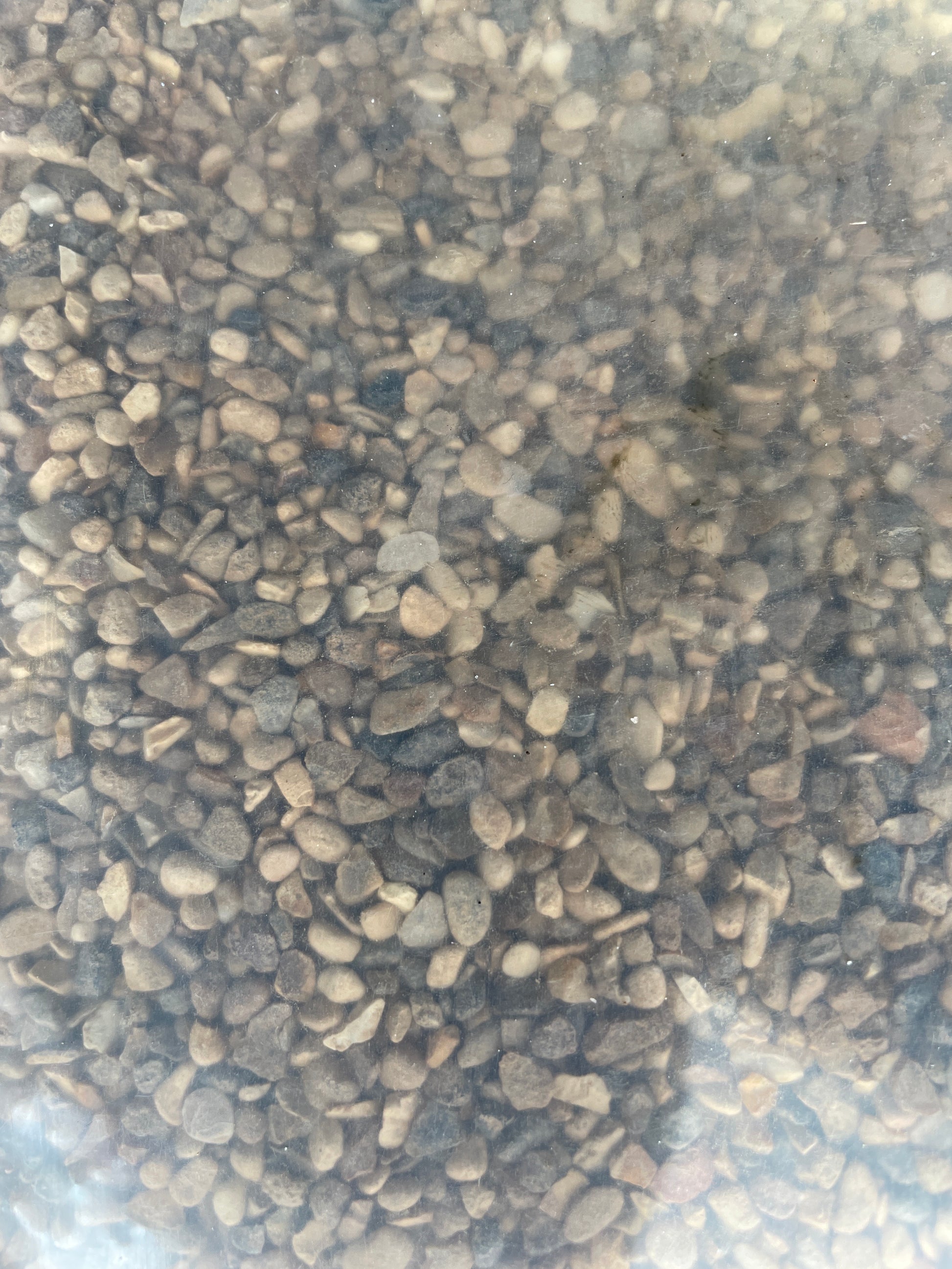 Betta plain gravel 1/8” 10kg Pet Market