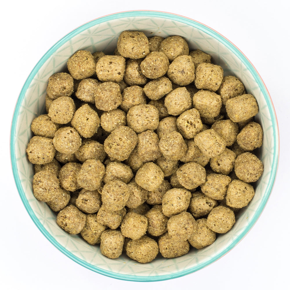 Burns Sensitive Chicken & Wholegrain Maize Dry Complete kibble Burns
