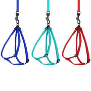 Rabbit harness and leash the Pet MARKET