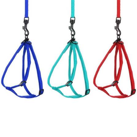 Rabbit harness and leash the Pet MARKET