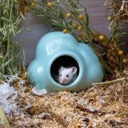 Ancol Burrow & Squeak Cloud Hide Pet Market