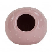 Ancol Burrow & Squeak Bobble Hide Pet Market