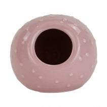 Ancol Burrow & Squeak Bobble Hide Pet Market