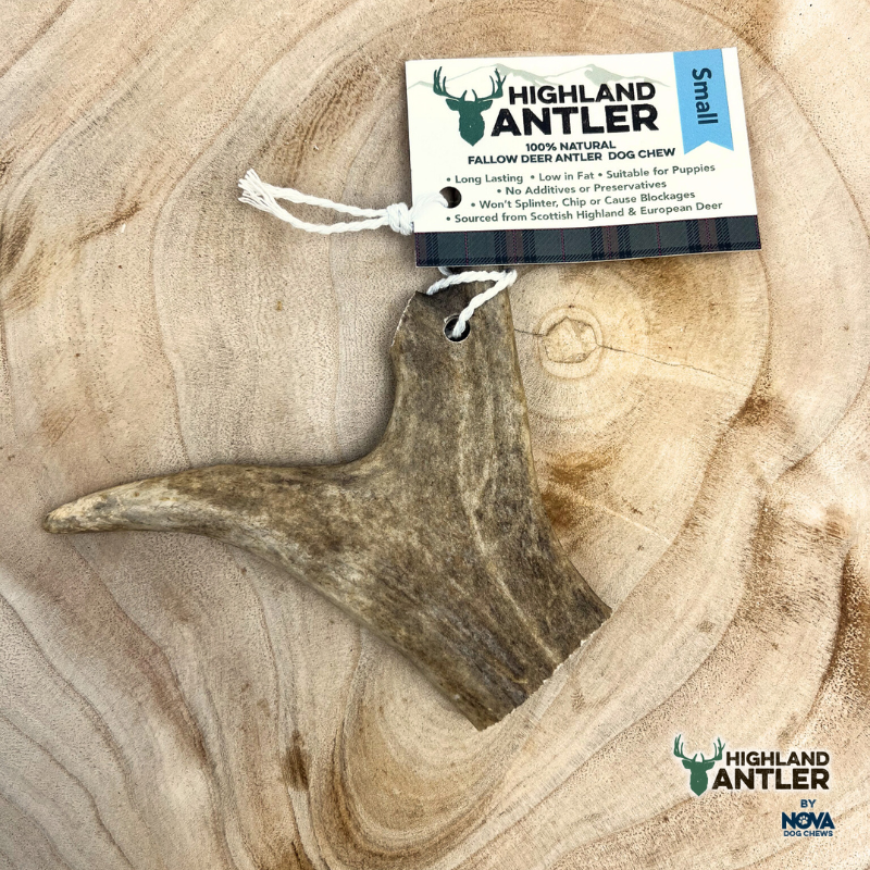 Fallow Deer Antler Nova Small