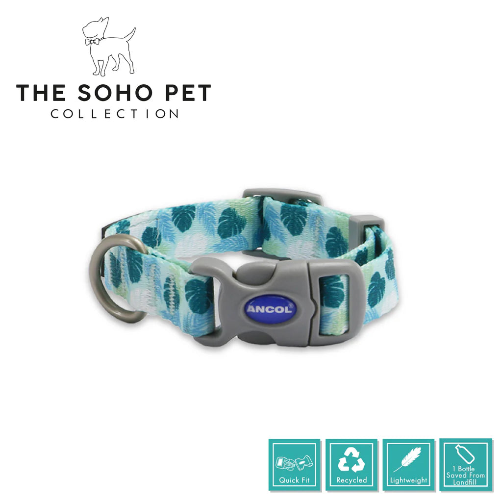 SOHO LEAF COLLAR Dog accessories Ancol
