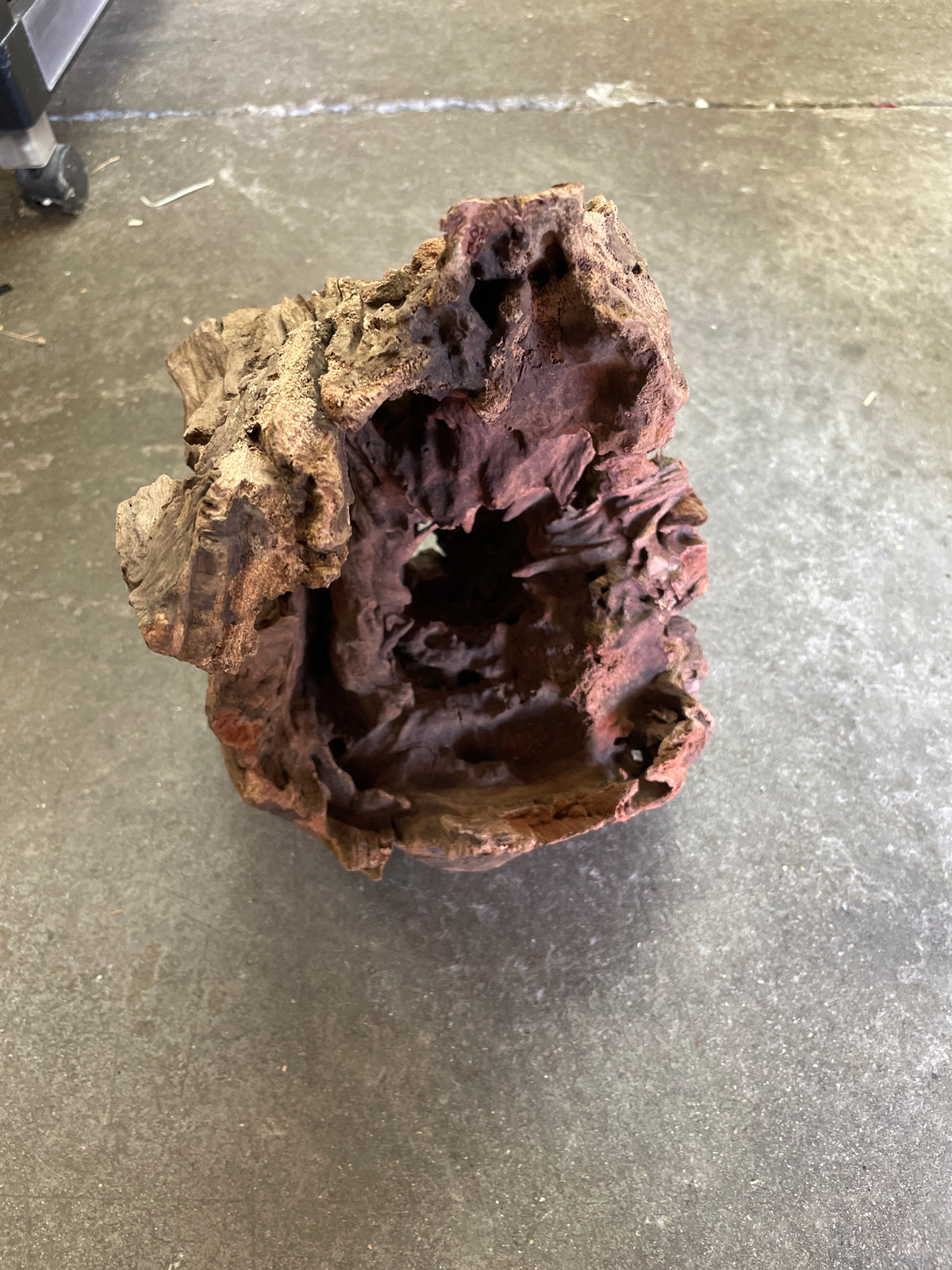 Tree stump wood 35-40cm Pet Market