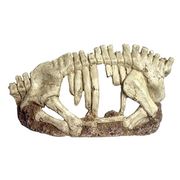 Hugo Half Skeleton 28X7x15cm Pet Market