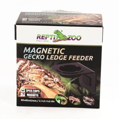 Magnetic Gecko Ledge Feeder Pet Market