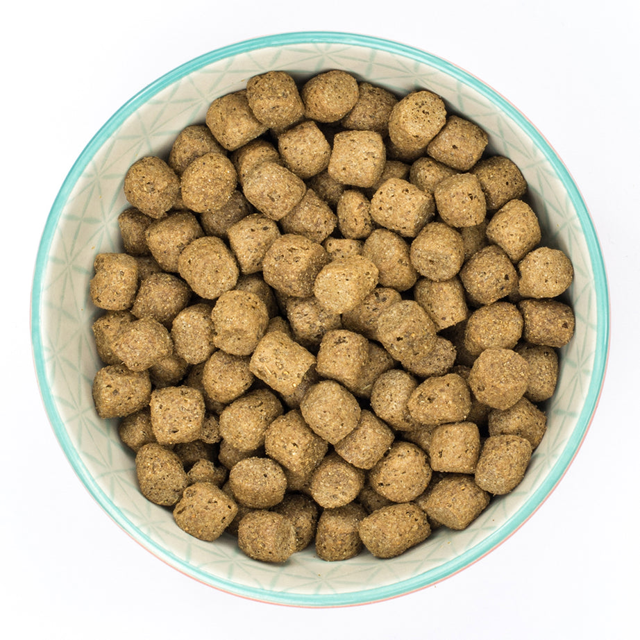 Burns Senior+ Chicken & Brown Rice Dry Complete kibble Burns