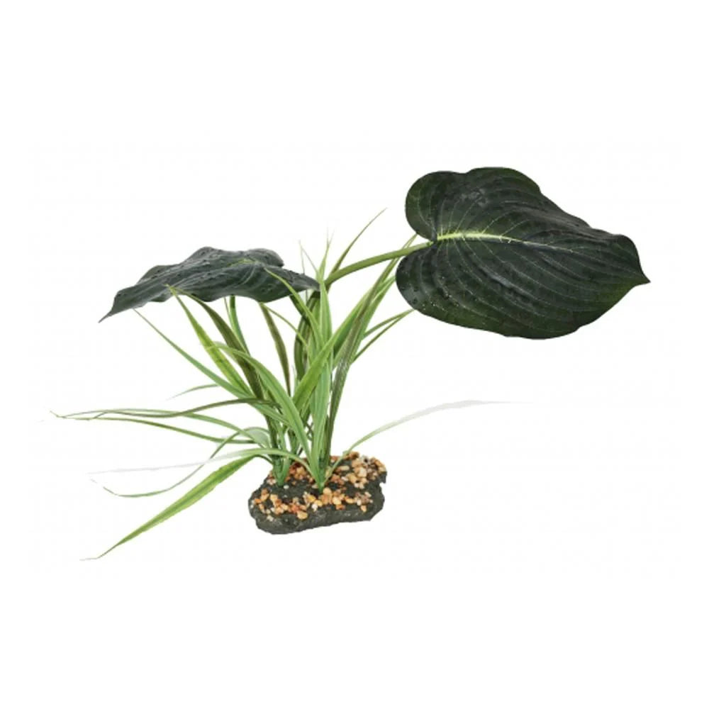 Woodland Canopy Pet Market