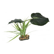 Woodland Canopy Pet Market