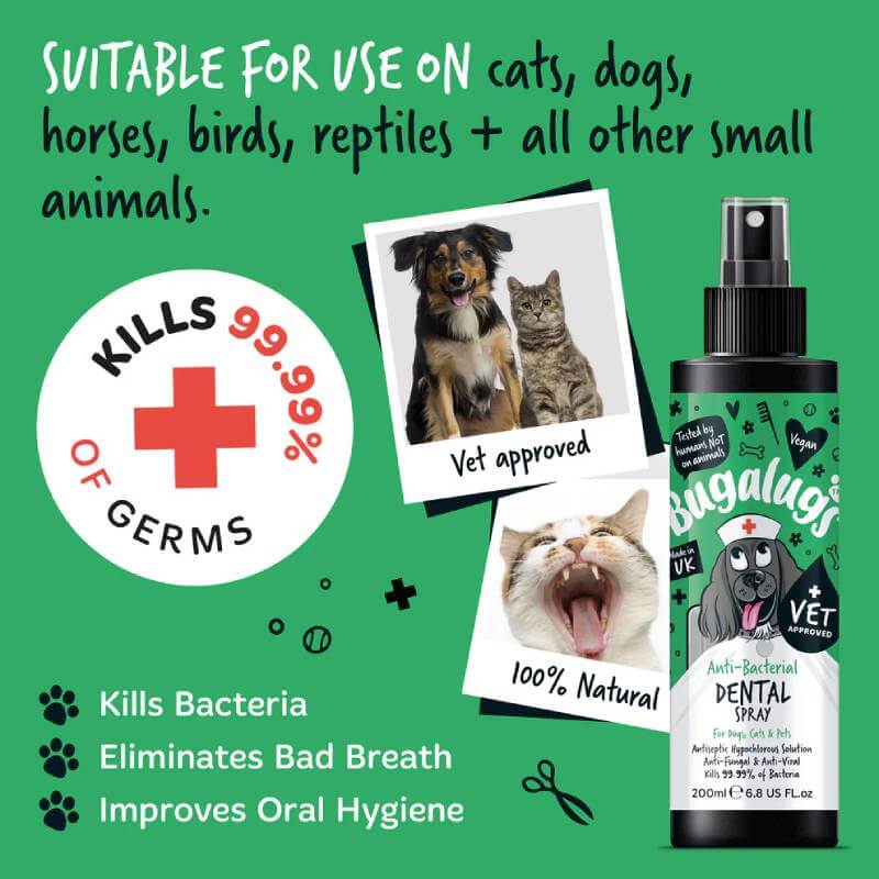 Bugalugs Dental Care Anti Bacterial Spray Bugalugs