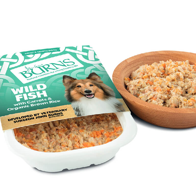 Burns Wet Food Wild Fish with Carrots & Brown Rice 395g DOG - FOOD Burns