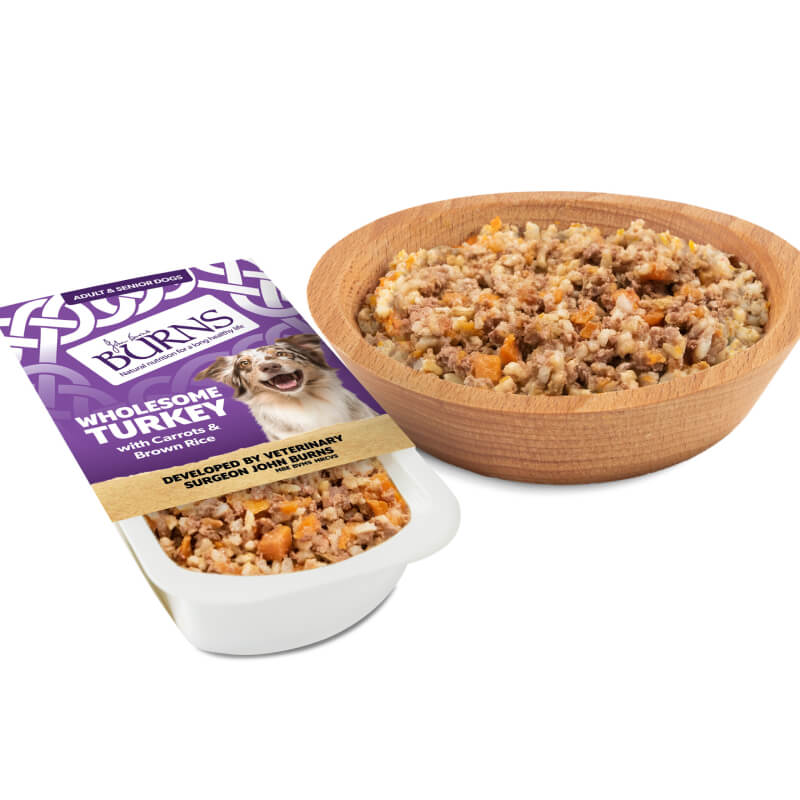Burns Wet Food Wholesome Turkey with Carrots & Brown Rice 395g DOG - FOOD Burns