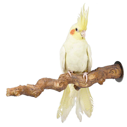 Sky Pet Product - Grape Vine Perch - Medium Pet Market
