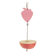 Fruit spear Pet Market
