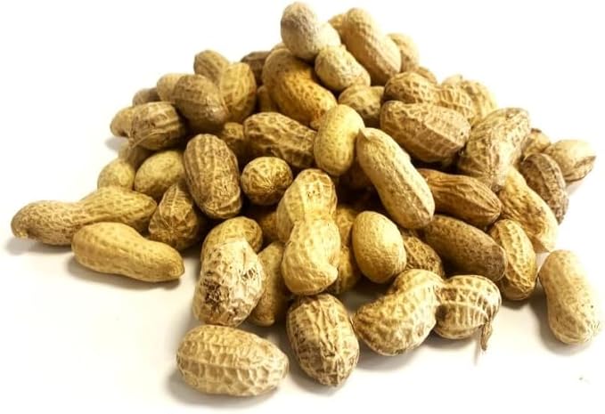 Monkey Nut- 500g Bird - Food Pet Market