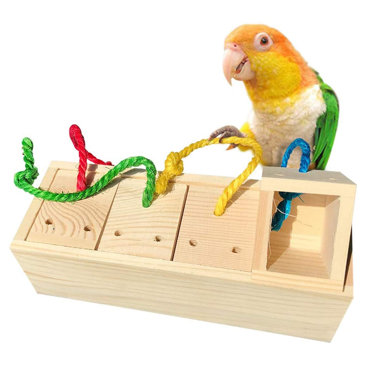 Bird foraging toy the Pet MARKET