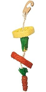 Natural Loofa Hanging Toy Happy Pet