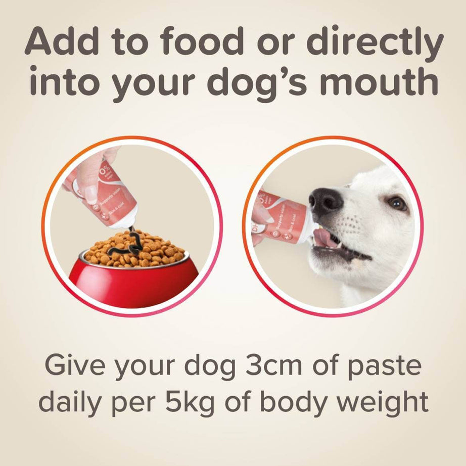 Beaphar Salmon Oil Paste Beaphar