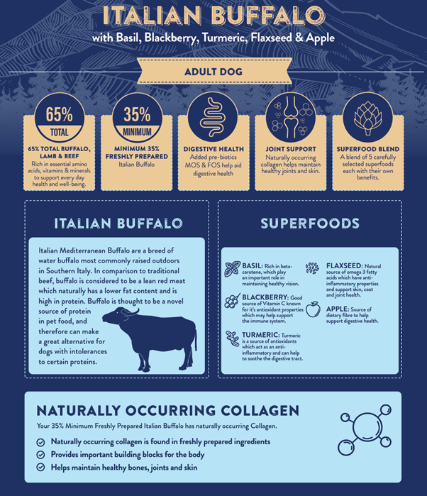 Superfood 65 Adult Dog Italian Buffalo Dry Complete kibble the Pet MARKET