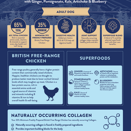 Superfood 65 Adult Dog British Free Range Chicken Dry Complete kibble the Pet MARKET