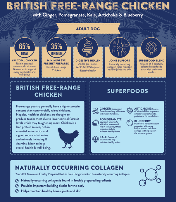 Superfood 65 Adult Dog British Free Range Chicken Dry Complete kibble the Pet MARKET