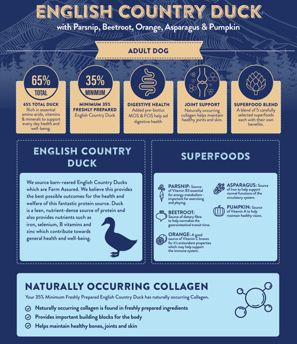 Superfood 65 Adult Dog English Country Duck Pet Market the Pet MARKET