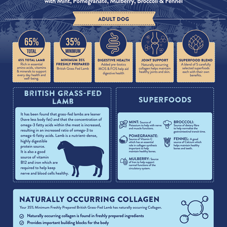 Superfood 65 Adult Dog British Grass Fed Lamb Pet Market the Pet MARKET