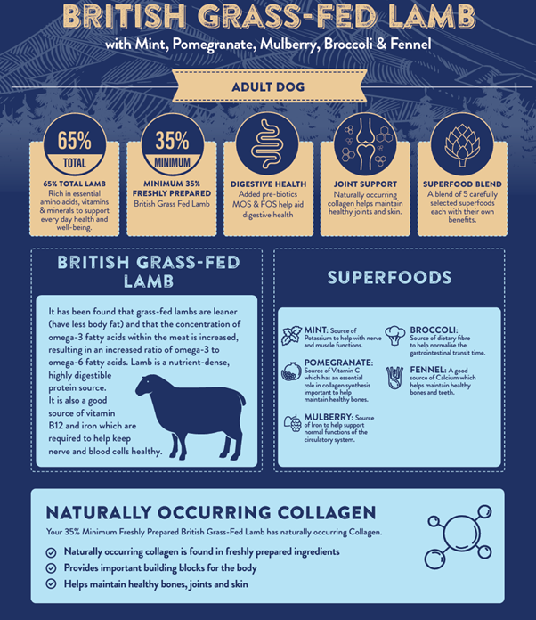 Superfood 65 Adult Dog British Grass Fed Lamb Pet Market the Pet MARKET