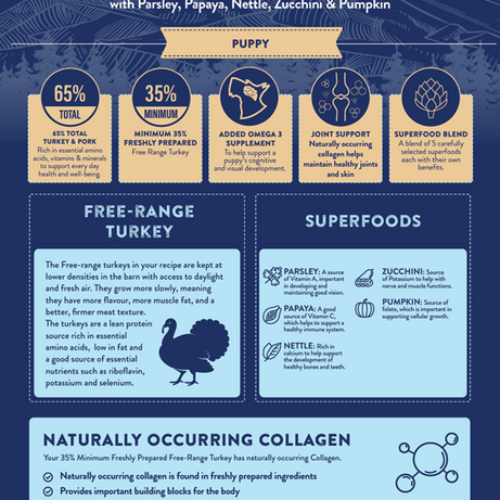 Superfood 65 Puppy Free Range Turkey Dry Complete kibble the Pet MARKET