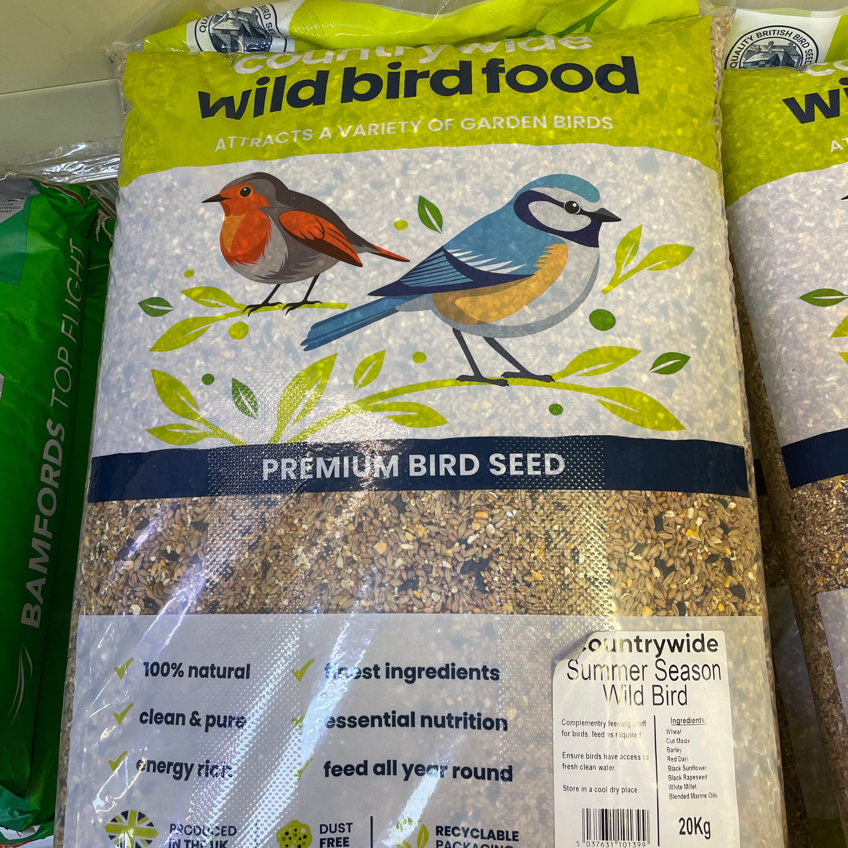 Summer Season Wild Bird Country Wide