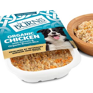 Burns Organic Chicken Carrots and Organic Brown Rice Wet Dog Food Trays Wet Food Burns