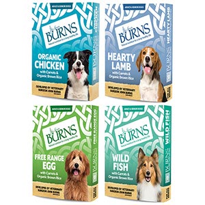 Burns Variety Box Wet Adult and Senior Dog Food Trays Wet Food Burns