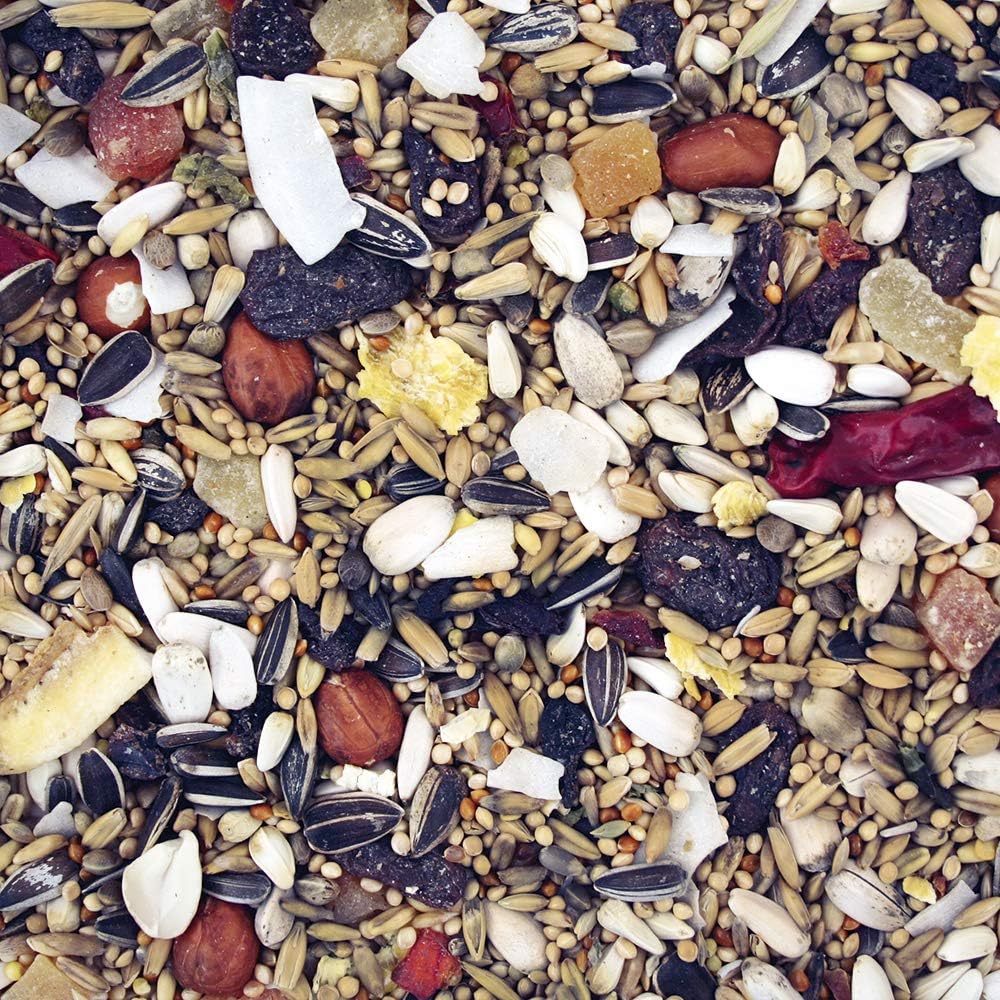 Premium Fruity Parakeet Bird feed Johnston & Jeff