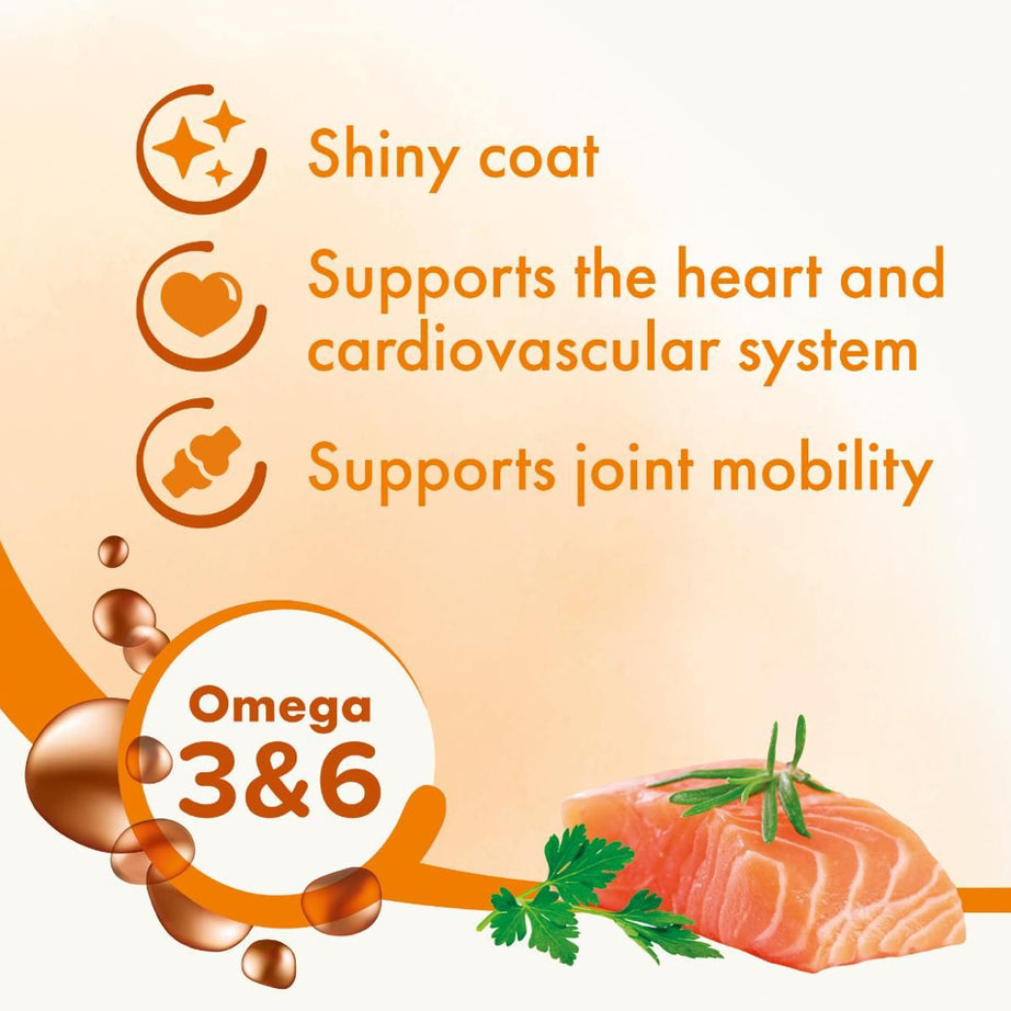 Beaphar Salmon Oil (430ml) supplement Beaphar