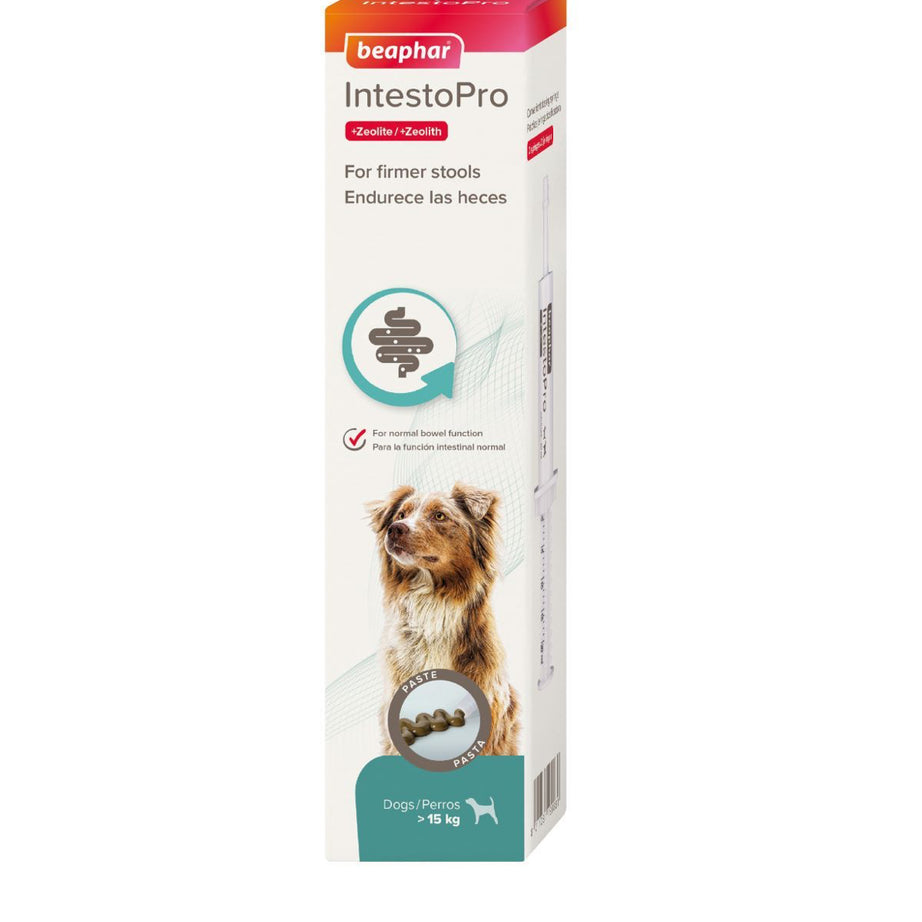 Beaphar IntestoPro PreBiotic Stool Firming Paste for Medium/Large Dogs 20ml x2 Medication Beaphar
