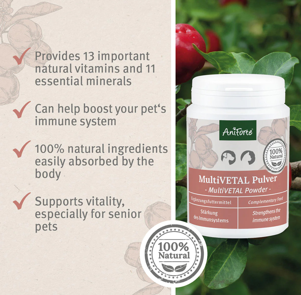 AniForte MultiVETAL Powder 100g - Natural Vitamin and Mineral Supplement for Dogs & Cats supplement AniForte