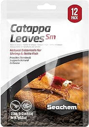 Catappa Leaves small 12pk the Pet MARKET