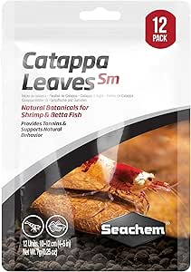 Catappa Leaves small 12pk the Pet MARKET
