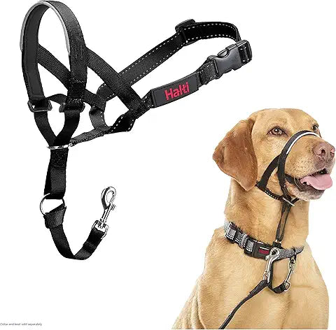 HALTI Black head collar Dog accessories Company of animals