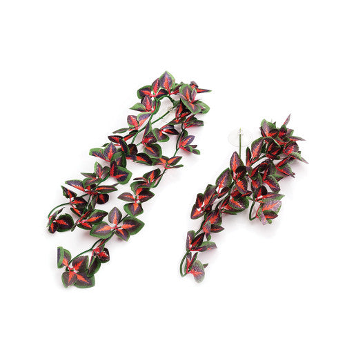 Perilla Leaf Hanging Plant 30cm Pet Market