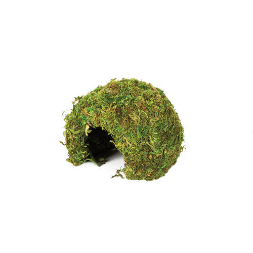 Natural Moss Cave Medium Pet Market