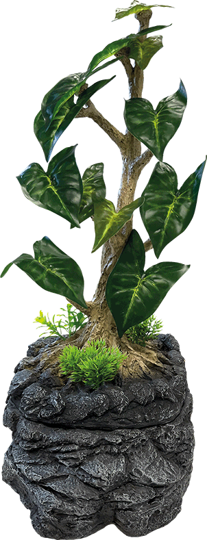 Repto Water Dripping Tree Pet Market
