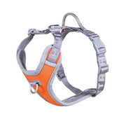 Hurtta Venture No-Pull Harness Buckthorn 35-40cm Pet Market