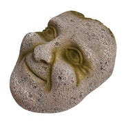 Betta Stone Face Pet Market