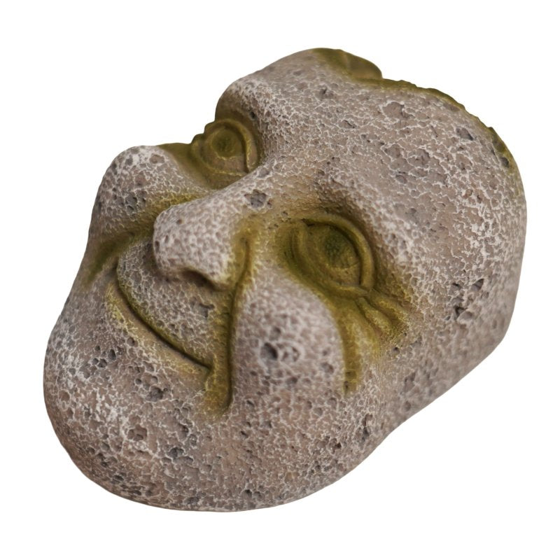 Betta Stone Face Pet Market
