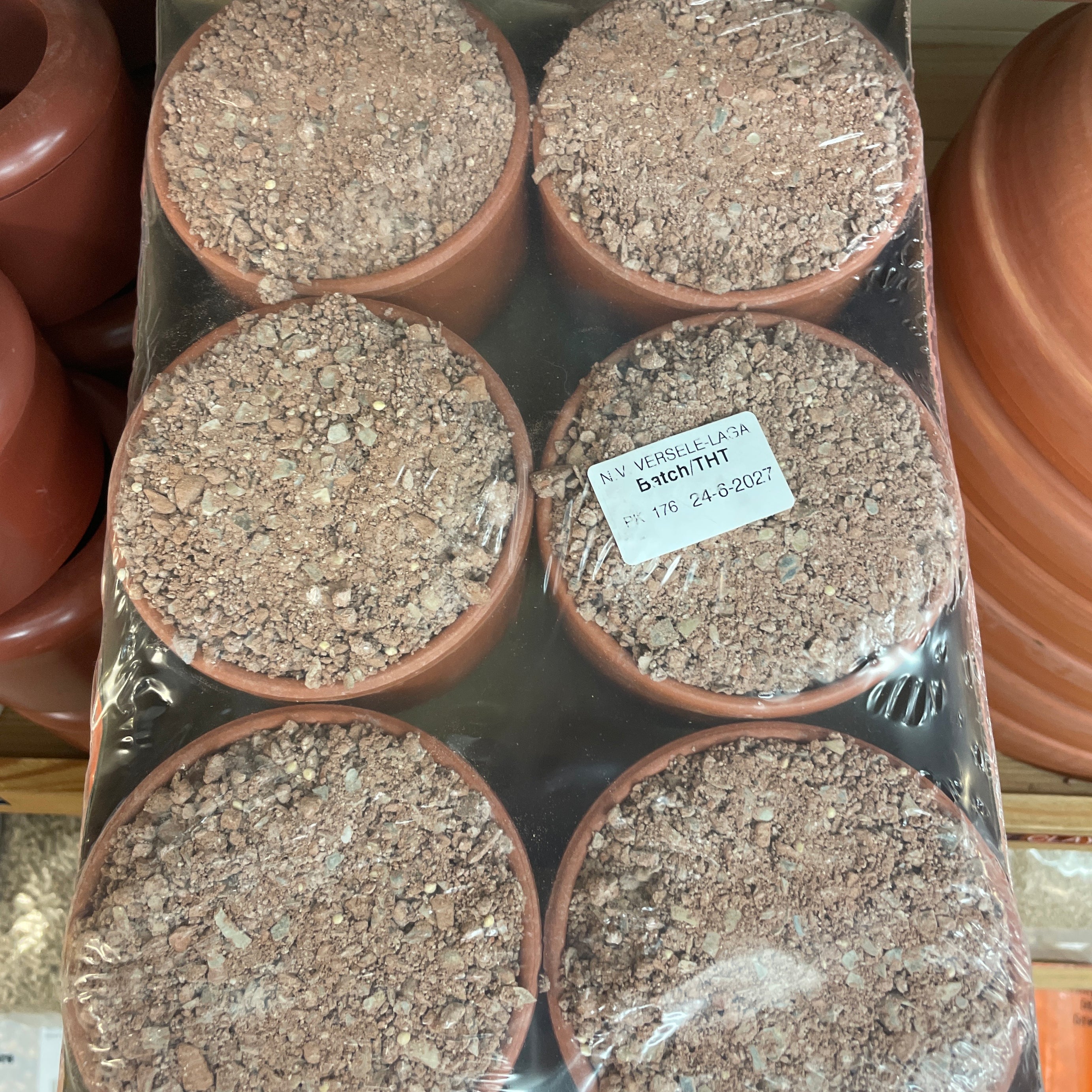 Pickstone red 5+1 Versele-laga